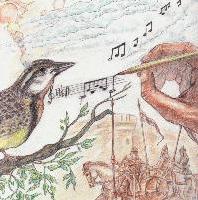 Picture for song 'Songbird' by artist 'Brian Thomas (Can)'