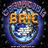 Picture for song 'OUTDATES' by artist 'BRIC'