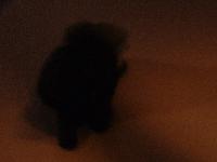 Picture for song 'Ghosts' by artist 'Brittiny'