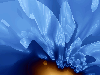 Picture for song 'Life' by artist 'BriX'