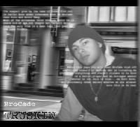 Picture for song 'TruSkin Overview' by artist 'BroCade'