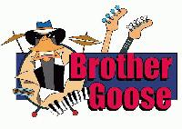Picture for song 'Long_Boogie_Train' by artist 'Brother Goose'