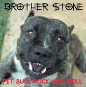 Picture for song 'Bee Charmer' by artist 'Brother Stone'