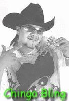 Picture for song 'Chingo Bling Interview' by artist 'Brown And Proud Radio'
