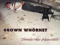 Picture for song 'I wanna show you how' by artist 'Brown Whornet'