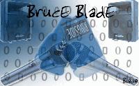 Picture for song 'The Newest' by artist 'Bruce Blade'