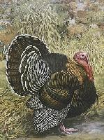 Picture for song 'It's Thanksgiving and I have Gas with Chunk' by artist 'BT and the Crackheads'