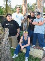 Picture for song 'Feeling The Feeling' by artist 'Bubble Wrap'