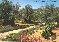 Picture for song 'A Garden View' by artist 'Bubblingsoul'