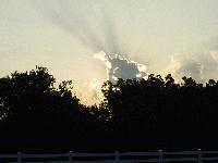 Picture for song 'Born In Heaven' by artist 'Bubblingsoul'