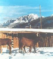 Picture for song 'horns and strings' by artist 'BUCK-I PRODUCTIONS'