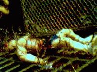 Picture for song 'All Gone' by artist 'budbundy1978'