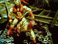 Picture for song 'The Evolution' by artist 'budbundy1978'