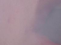 Picture for song 'Company Flow Freestyle Ft synopsis,ehlo,shuks' by artist 'buddaflowuh'