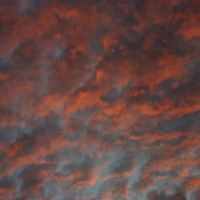Picture for song 'North' by artist 'BuddahBoy'