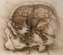Picture for song 'One' by artist 'Built for Life's Shit'