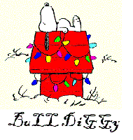 Picture for song 'House Party - (2 Till 3:30am Mashup)' by artist 'BuLL DoGG MC'