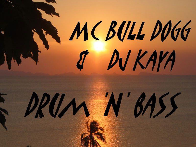 Picture for song 'Kaya & DiGGy - Mashup - Drum 'N' Bass Style' by artist 'BuLL DoGG MC'