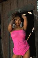 Picture for song 'Roger D (Skit)' by artist 'BuLL DoGG MC'