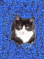 Picture for song 'Da Afternoon' by artist 'bunchop'