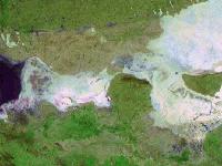 Picture for song 'In The Beginning' by artist 'bunchop'