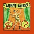 Picture for song 'Without Your Love' by artist 'Burnt Taters'