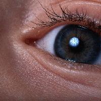 Picture for song 'ONE OF THE CHILDREN IN THE WORLD' by artist 'Burt Lewis'