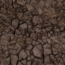 Picture for song 'Rise' by artist 'busyb02'