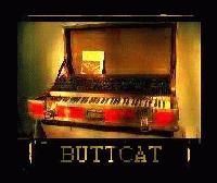 Picture for song 'Technology Temple' by artist 'ButtCat'