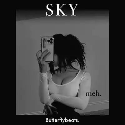 Picture for song 'Trap Type Beat 2024 - "SKY" l Hip Hop Beat' by artist 'Butterfly Beats'
