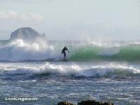 Picture for song 'Hydrophobia (Album Version)' by artist 'Butterfly Toungz'