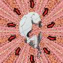 Picture for song 'cyborganic' by artist 'buzzboy'
