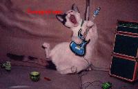 Picture for song 'Desk scratch' by artist 'BYOB'