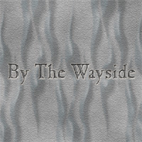 Picture for song 'Tool' by artist 'By The Wayside'