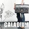Picture for song 'Let Go' by artist 'Caladium'