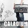 Picture for song 'Numb' by artist 'Caladium'