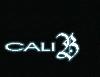 Picture for song 'A.S.A.P.' by artist 'cali B'