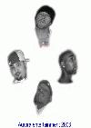 Picture for song 'the bio' by artist 'cali routes'