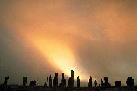 Picture for song 'Connaughtmans Rambles/Rakes of Mallow' by artist 'Callanish'