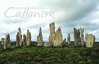 Picture for song 'Swallowtail Jig/The Rambling Pitchfork' by artist 'Callanish'