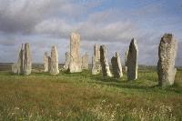 Picture for song 'The Butterfly' by artist 'Callanish'