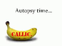Picture for song 'Banana Autopsy' by artist 'Callic'