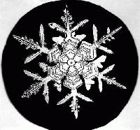 Picture for song 'Eat The Snowflakes, Poor Boy' by artist 'Callic'