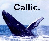 Picture for song 'Whale Watch' by artist 'Callic'