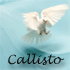 Picture for song 'One More Time' by artist 'Callisto'