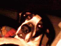 Picture for song 'Flows Still Ill {Ill Flows 2}' by artist 'Cal Wu'