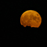 Picture for song 'Rising Moon' by artist 'Cambridge 2003'