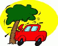 Picture for song 'Jeep' by artist 'Canibal -N- Skratchy'