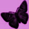 Picture for song 'Float Like a Butterfly' by artist 'capernwray'