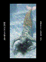 Picture for song 'Siren' by artist 'Capers Simmons'